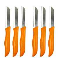 چاقو میوه خوری اصلی المان و به شرط دست 6تایی