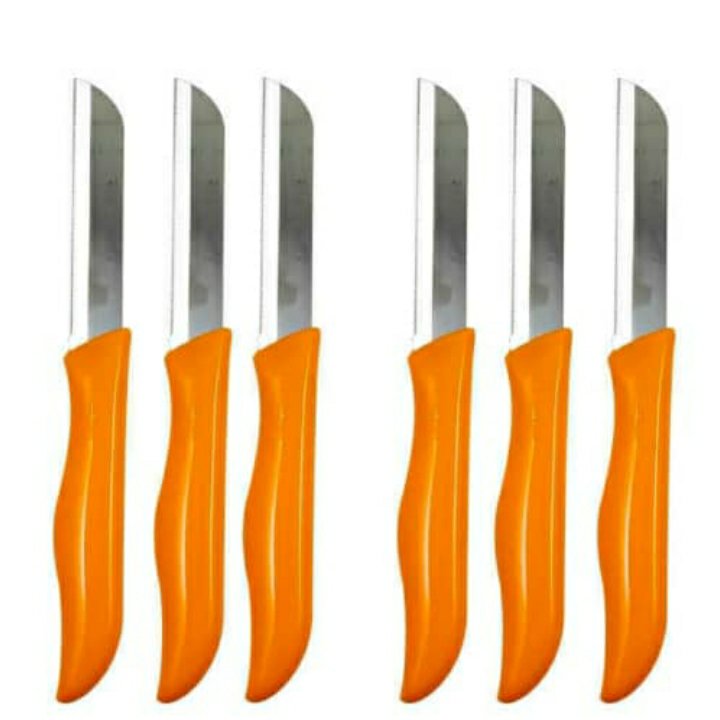 چاقو میوه خوری اصلی المان و به شرط دست 6تایی