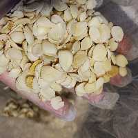 لبلبو تندچه  خوانسار