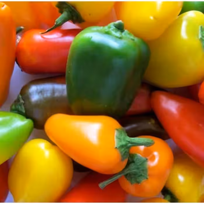 ادویه پاپریکا