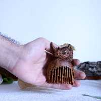 شانه چوبی دستساز   طرح کرگدن 