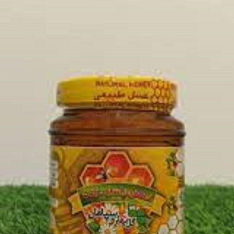 عسل گزانگبین پت 1 کیلویی