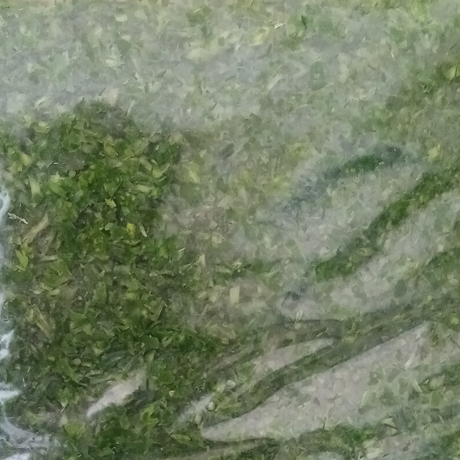 سبزی خورشتی 