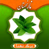 برگ نعناء برای تهیه دمنوش(200گرم) نارنجستان