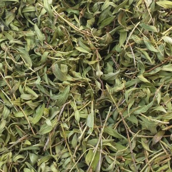 آویش کوهی ( الک شده بدون خاک ) 75گرم خالص در بسته بندی سلفونی بسیارتمیز و عالی