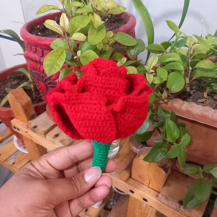 عروسک بافتنی رز عروسکی دورو