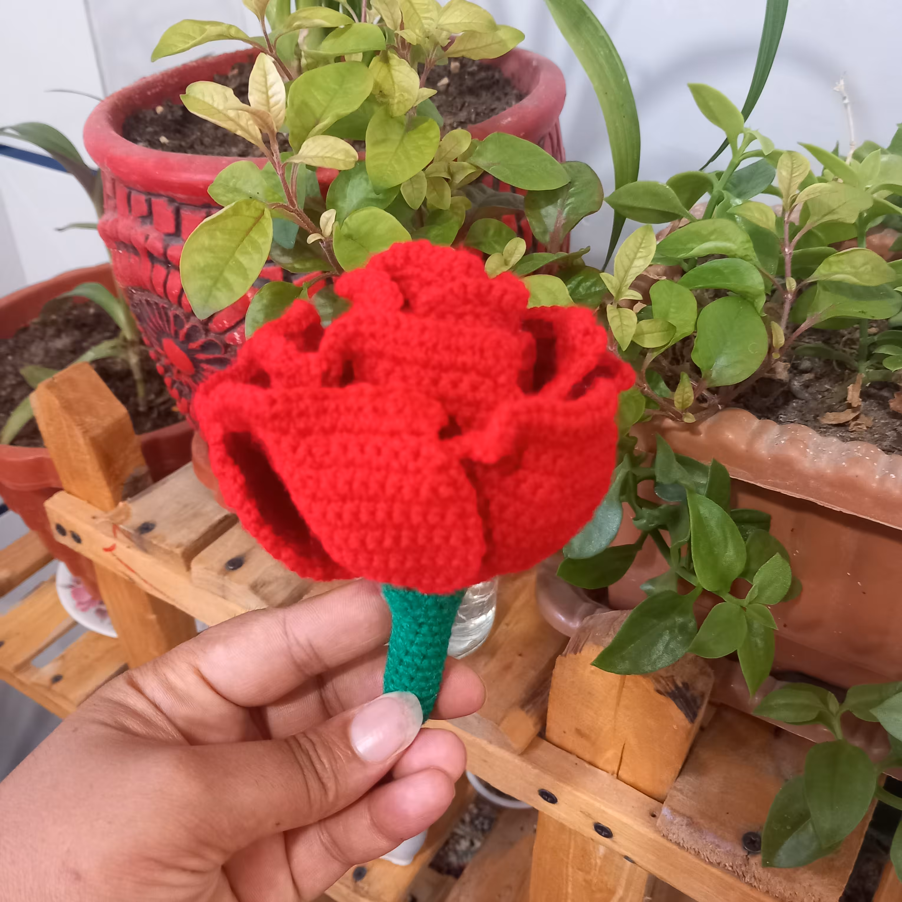 عروسک بافتنی رز عروسکی دورو