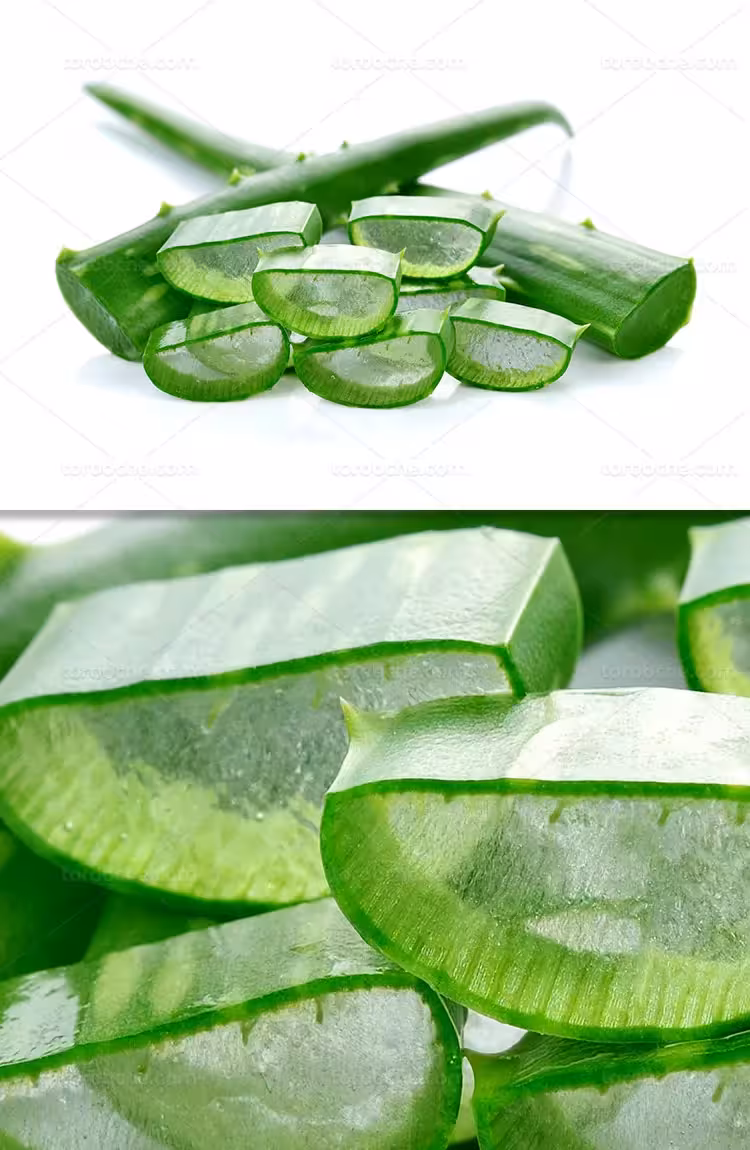عکس آلوئه ورا برش خورده | گرافیک با طعم تربچه