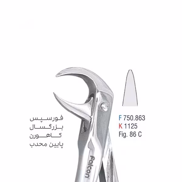 فورسپس بزرگسال کاهورن پایین محدب - کوشا
