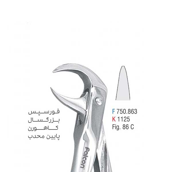 فورسپس بزرگسال کاهورن پایین محدب - کوشا