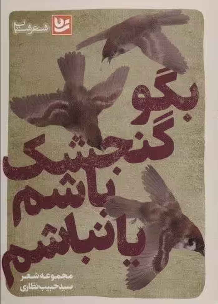 بگو گنجشک باشم یا نباشم (شعر شباب29)