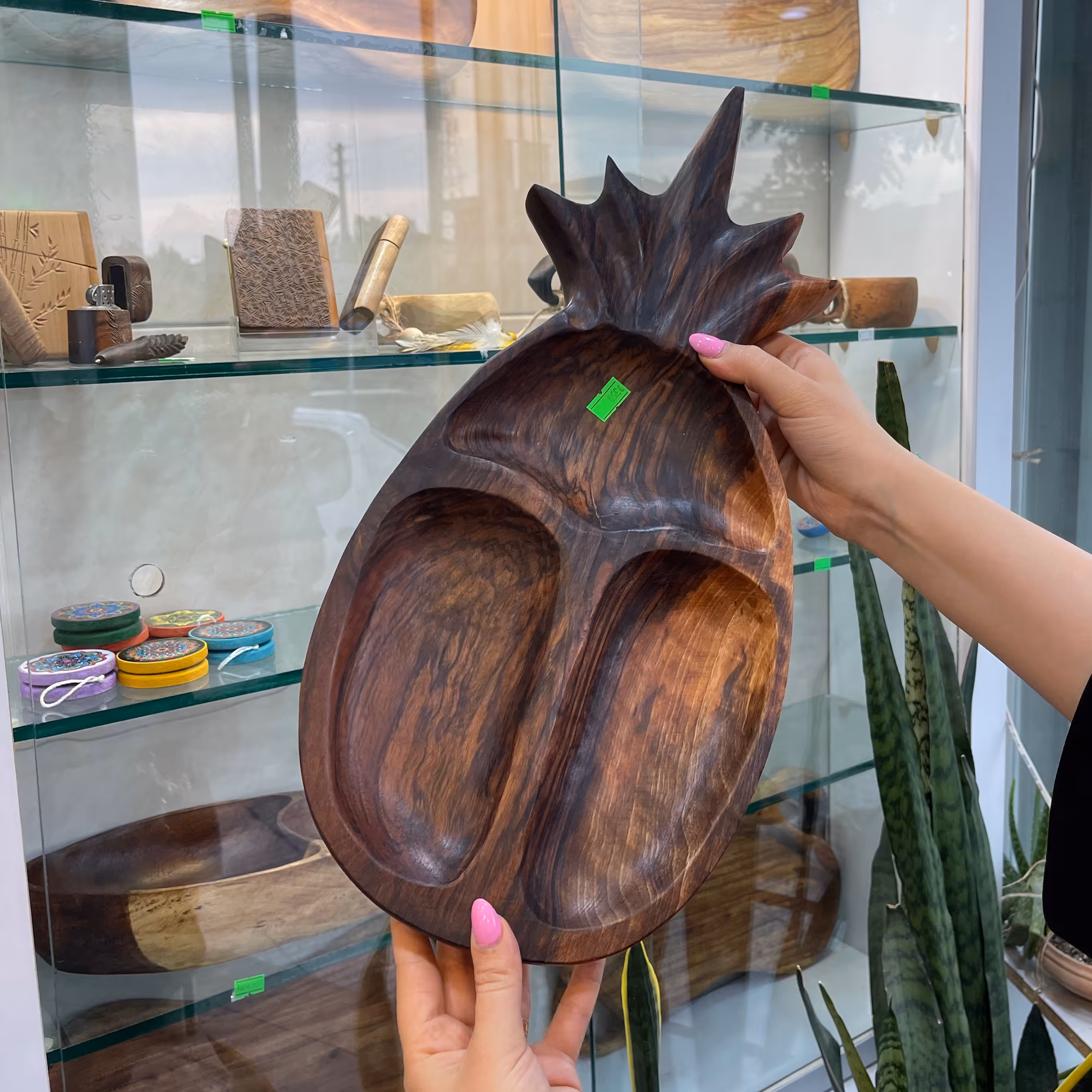 اردوخوری طرح آناناس