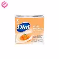 صابون بدن دیال Dial Silk & Seaberry(بسته 3 عددی)