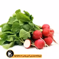 بذر تربچه نقلی پاسارگاد