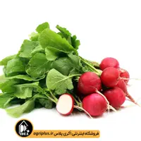 بذر تربچه نقلی پاسارگاد