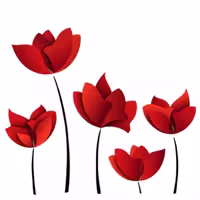 استیکر سه بعدی ژیوار طرح گل شقایق