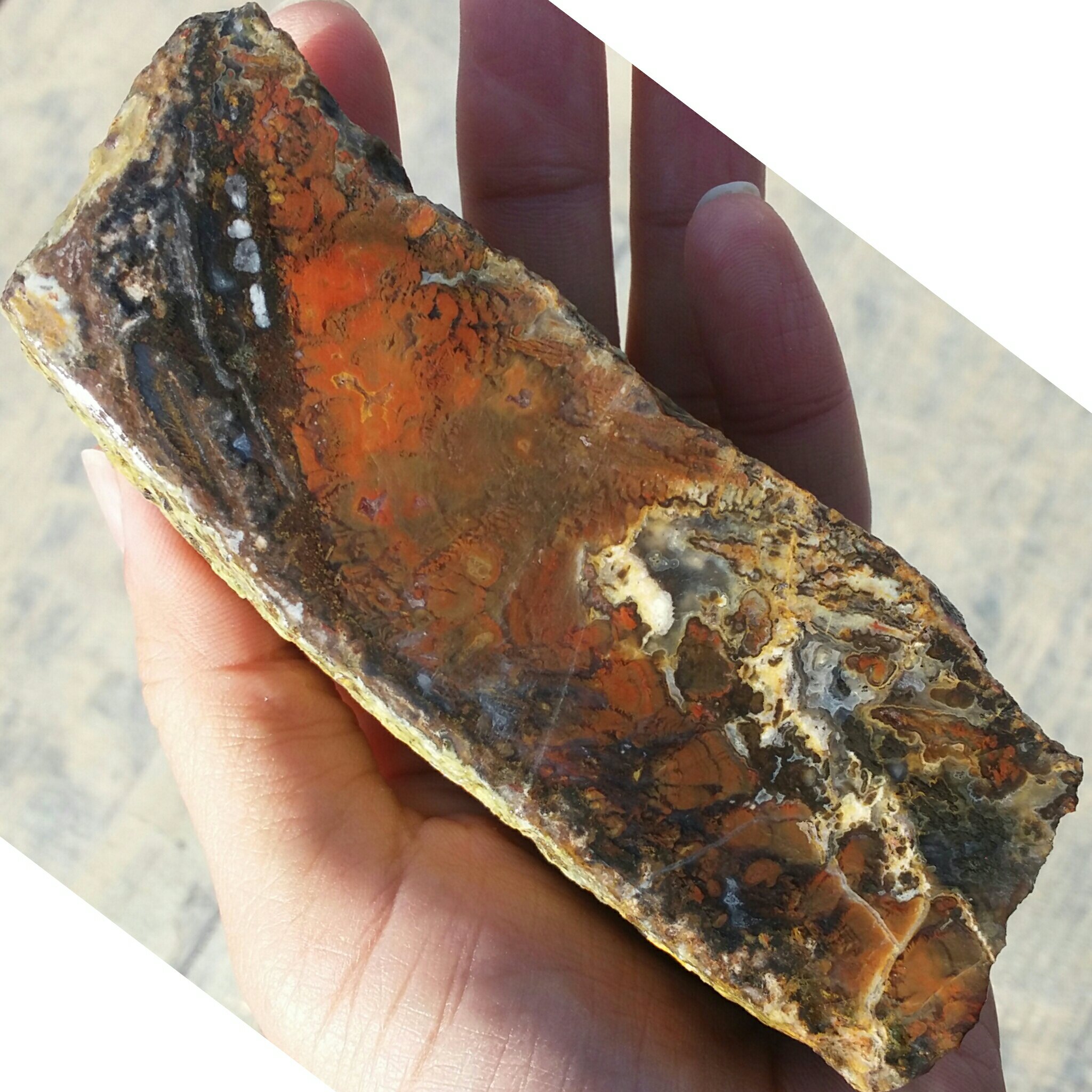 اسلایس سنگ راف عقیق منظره بسیار دیدنی شاهکار خلقت کاملا طبیعی
با قابلیت ساخت چندین نگین محشر
کد 8364