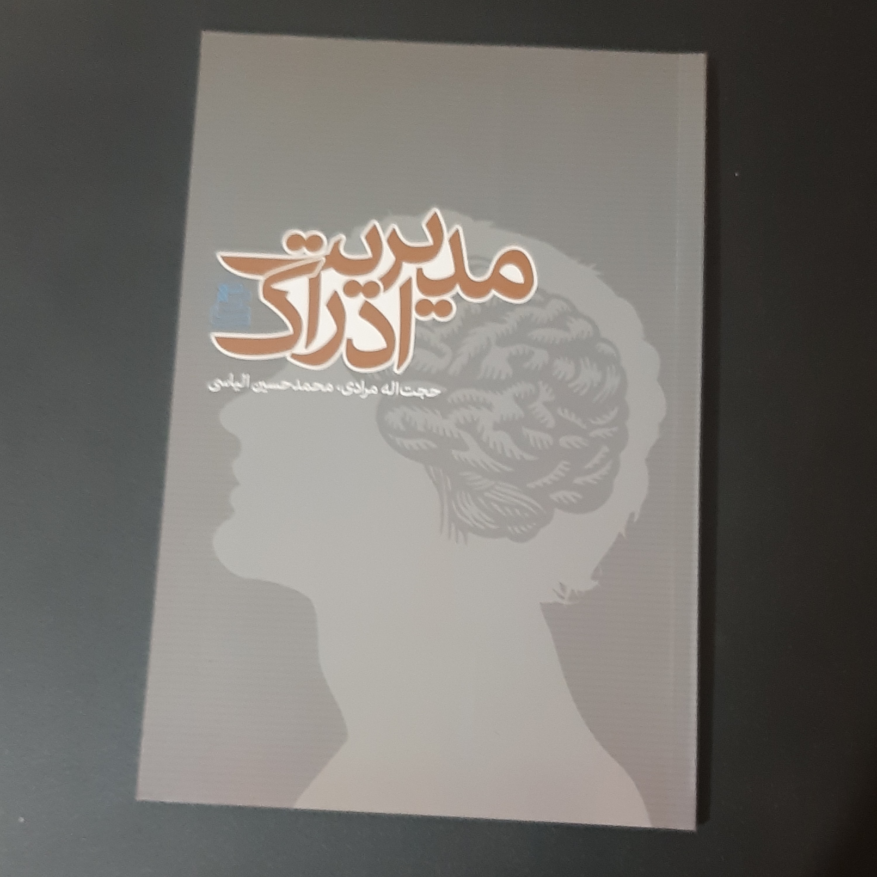 کتاب مدیریت ادراک