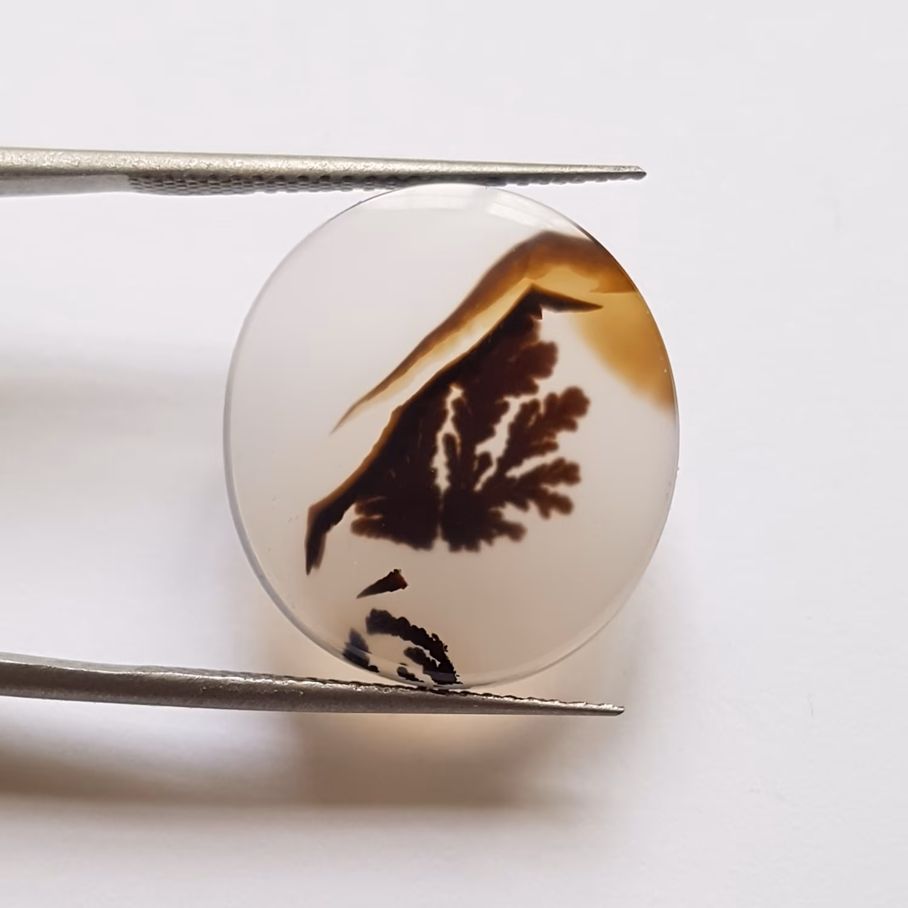 سنگ عقیق شجر