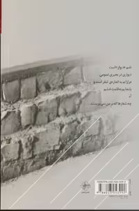 کتاب دیوار نشر فصل پنجم اثر شیر کو بی کس