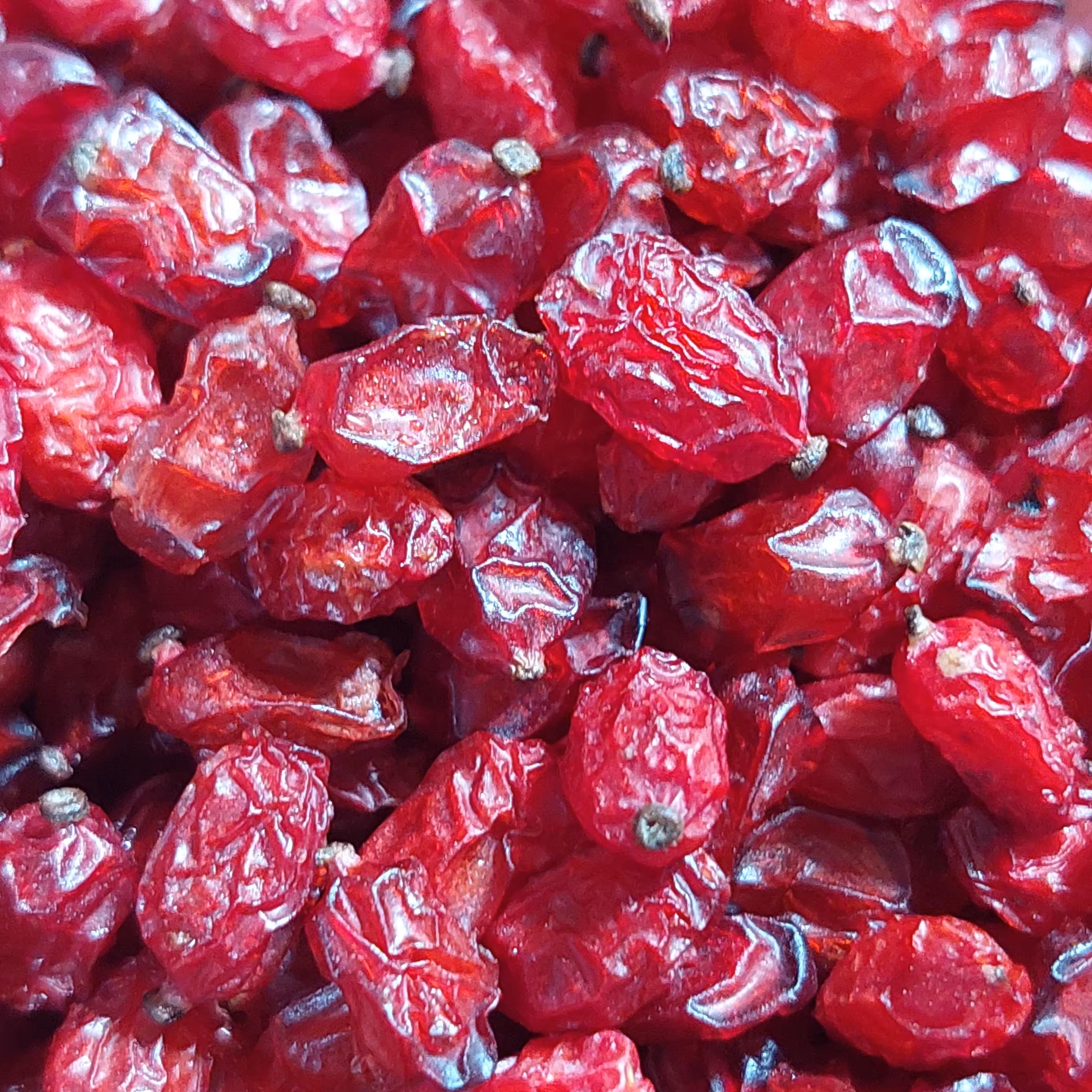  زرشک پفکی اعلا امسالی 250 گرمی مشرق زمین