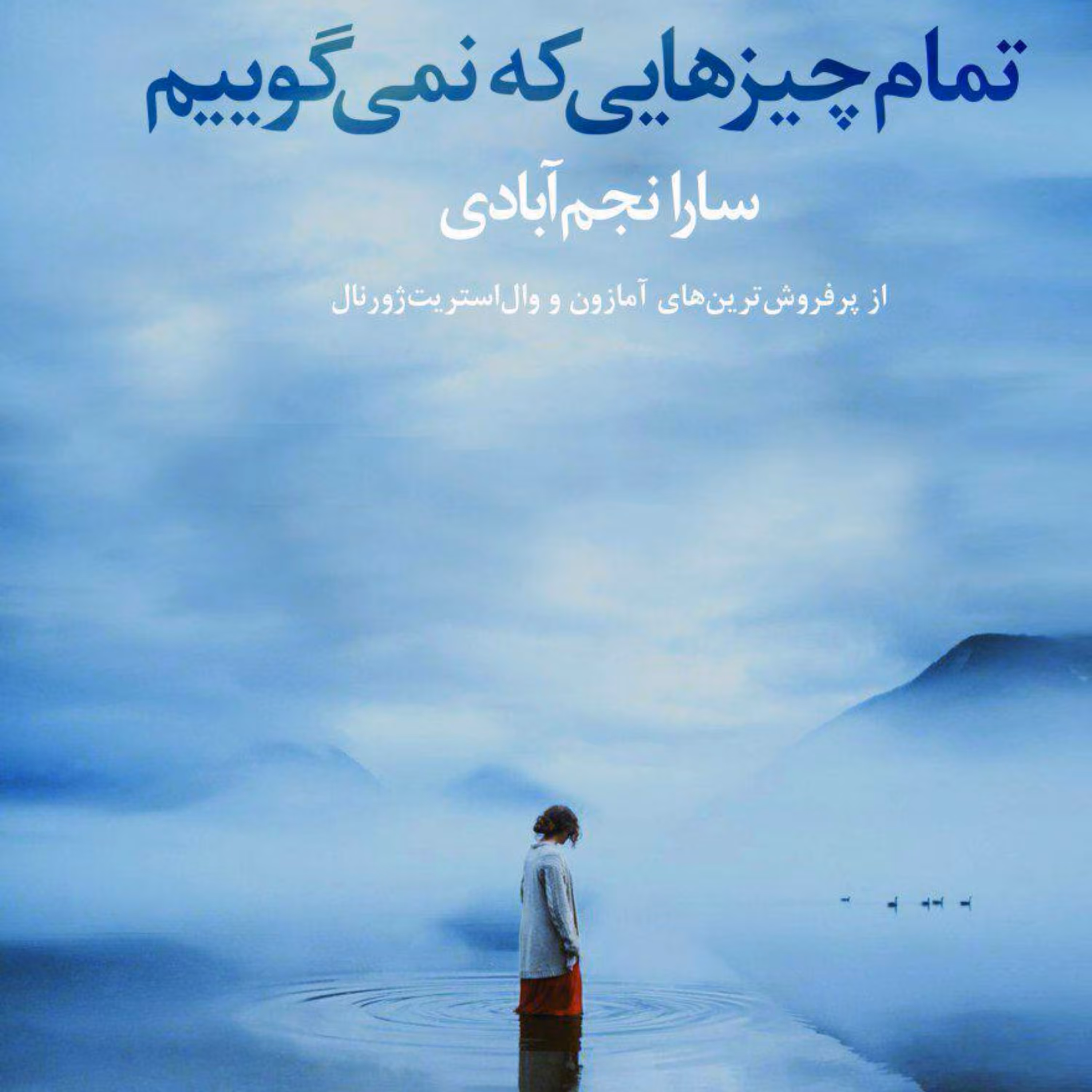 تمام چیزهایی که نمی گوییم