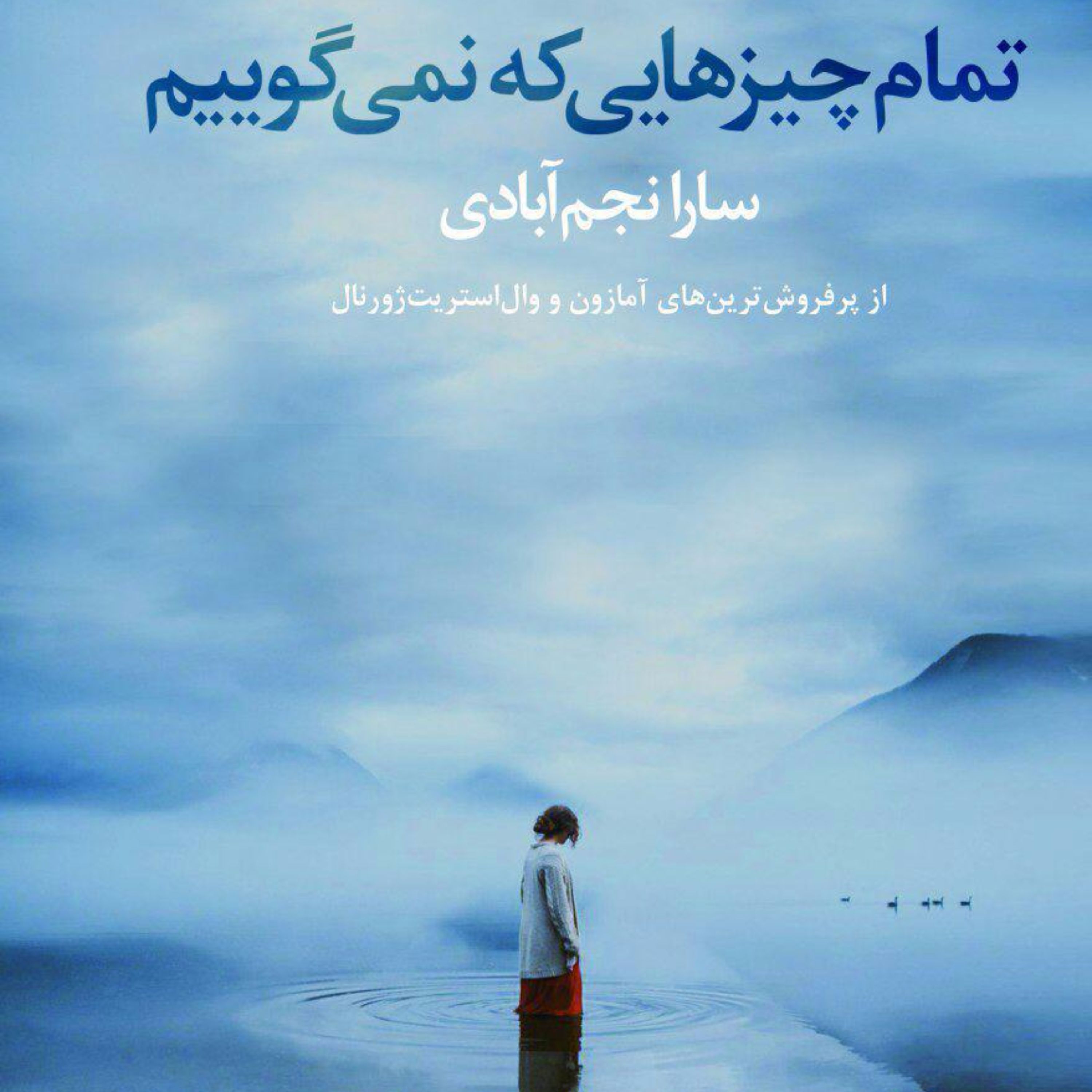 تمام چیزهایی که نمی گوییم
