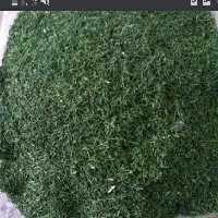 سبزی خشک شوید (250 گرمی)