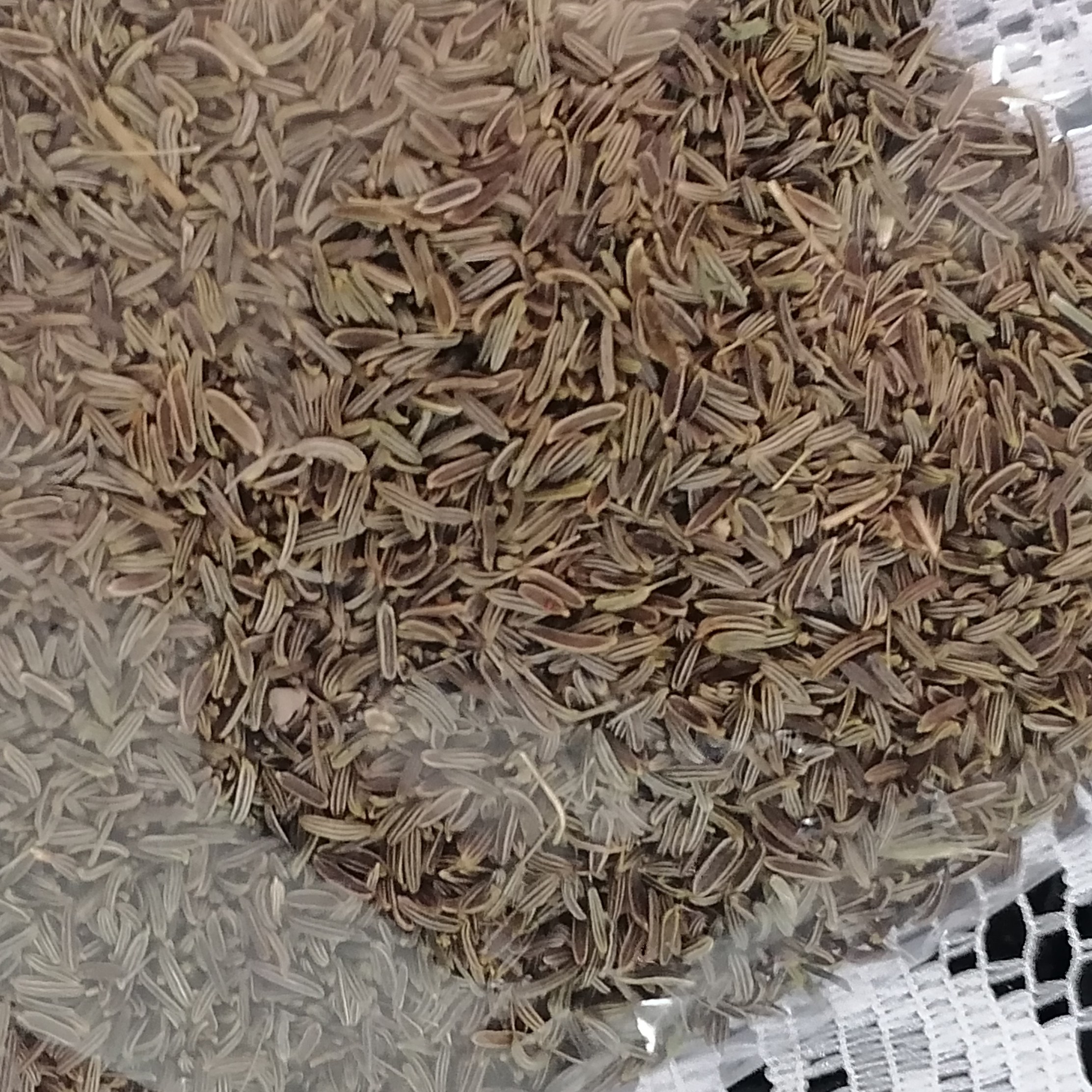 زیره سیاه (زیره پلویی) 100 گرم فله ای