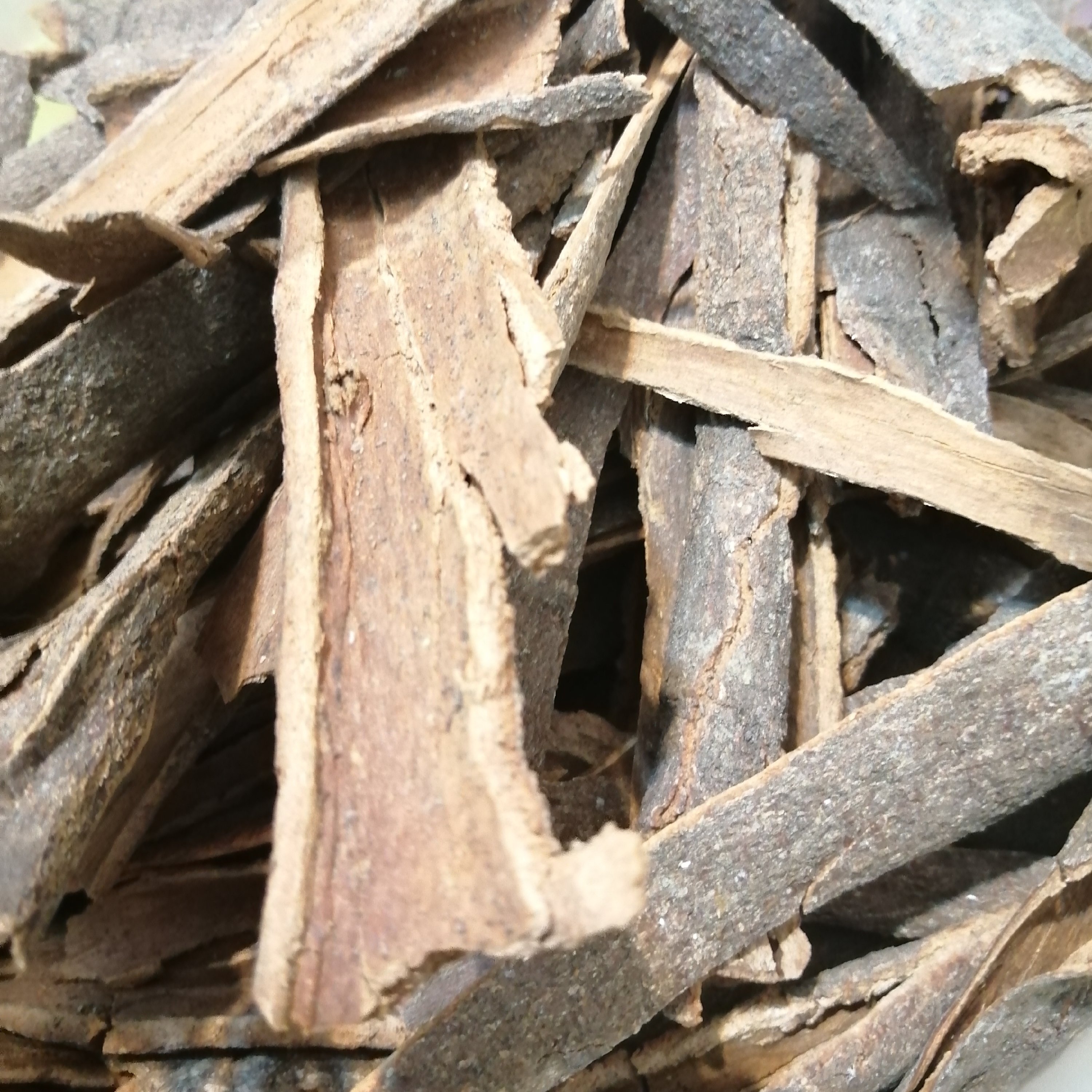 چوب دارچین اعلا بسته های 100 گرمی  زعفران جمالی