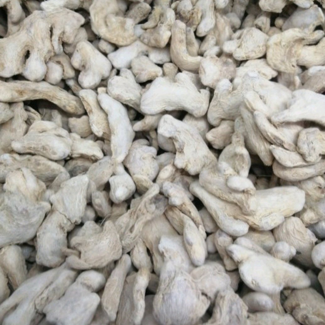 زنجبیل پودر شده درجه یک 100گرمی ارسال به سراسر ایران 