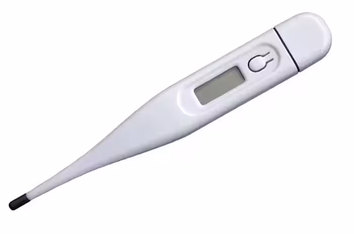 ترمومتر دیجیتال Rigid