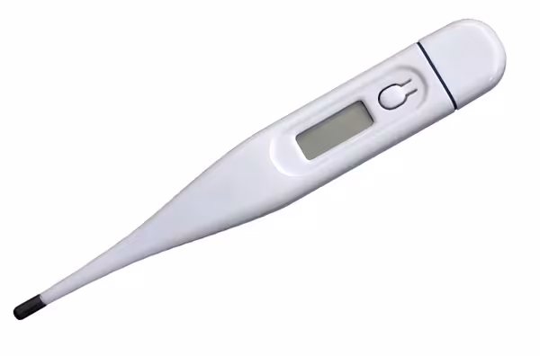 ترمومتر دیجیتال Rigid