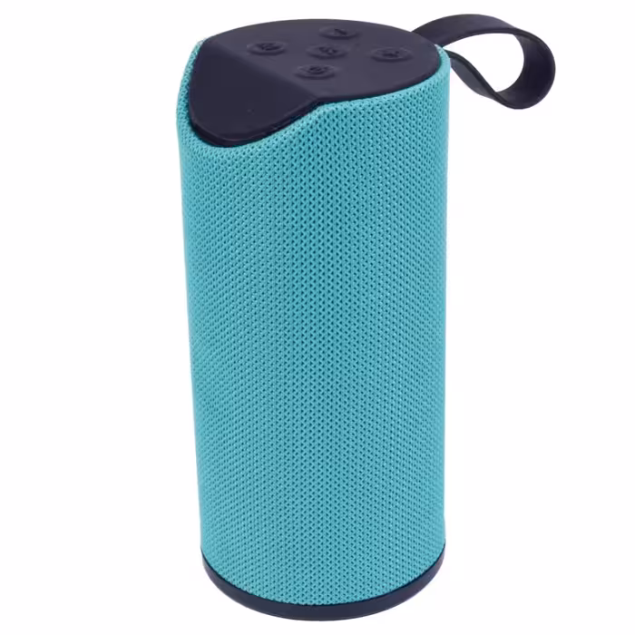 اسپیکر بلوتوثی قابل حمل ای ال وی مدل 113