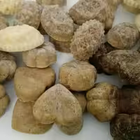 انواع صابون گیاهی