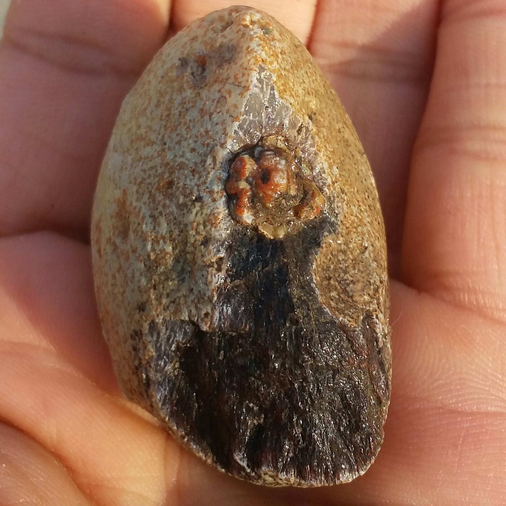 سنگ راف خام عقیق برش نخورده مغزدار  بسیار با کیفیت 100 در 100 طبیعی سرشار از خواص شاهکار خلقت بینظییر
کد8762