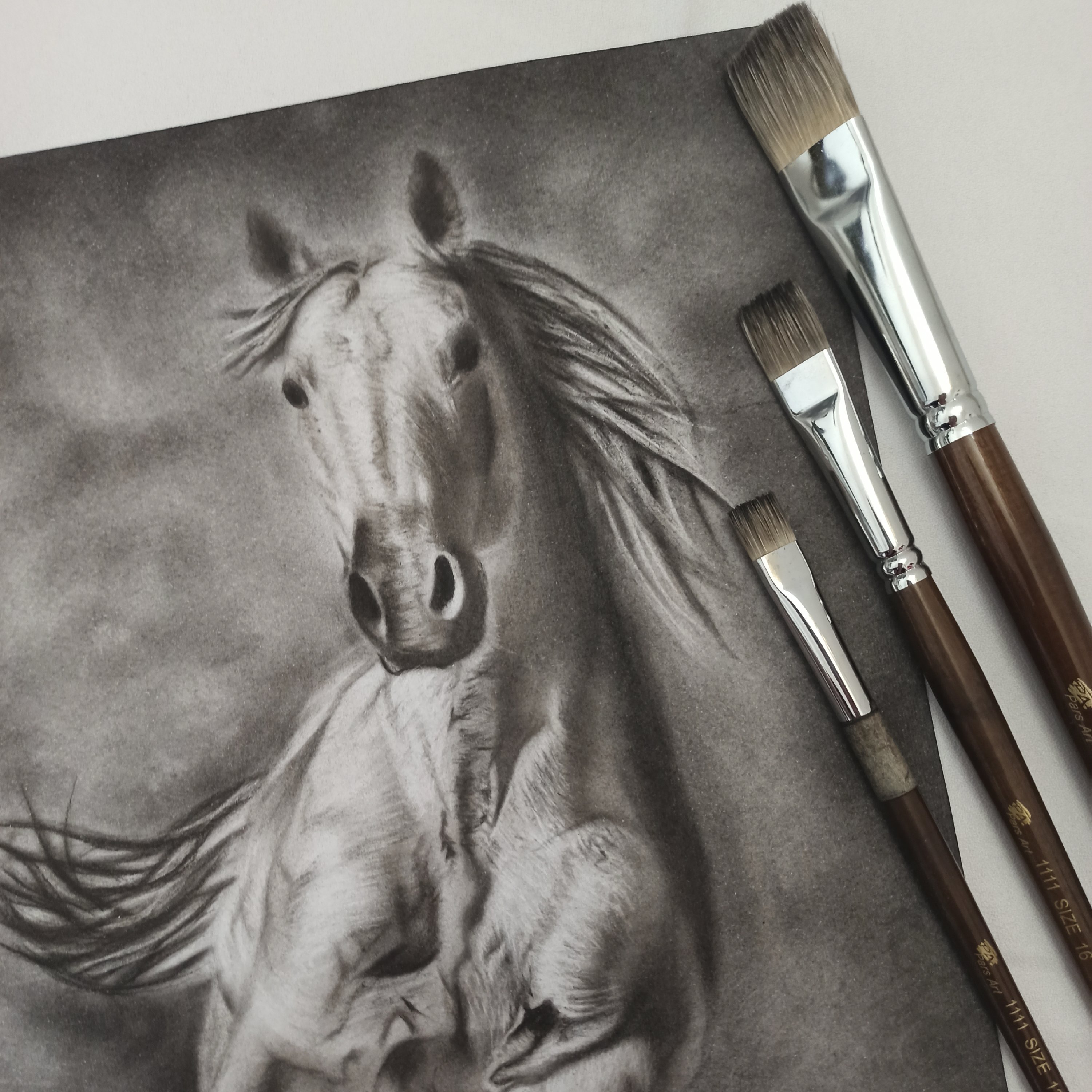 تابلو سیاه قلم  موضوع اسب