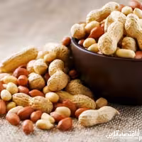 بادام زمینی  کره گیری  درجه دو 