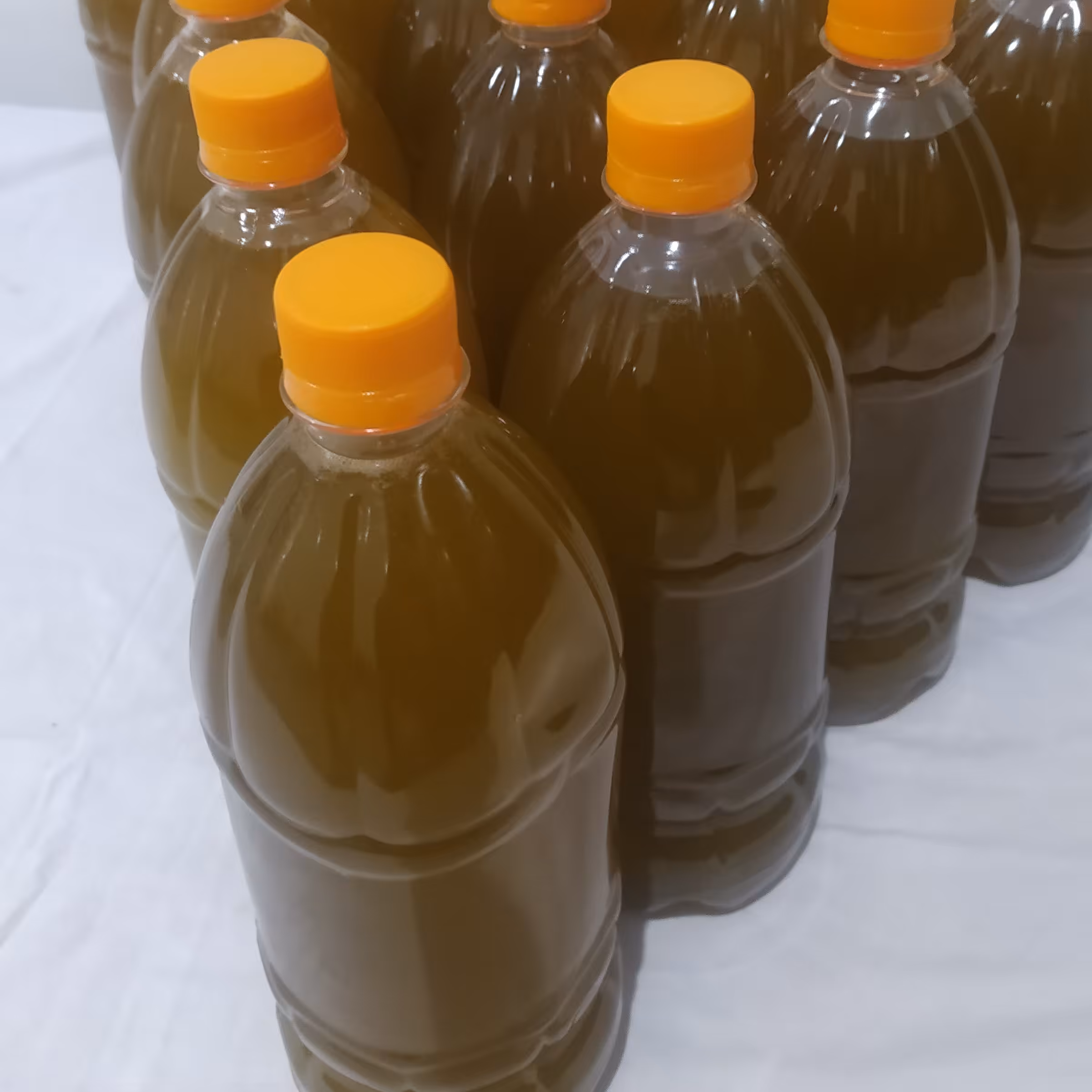 روغن زیتون صددرصد خالص وبی بو