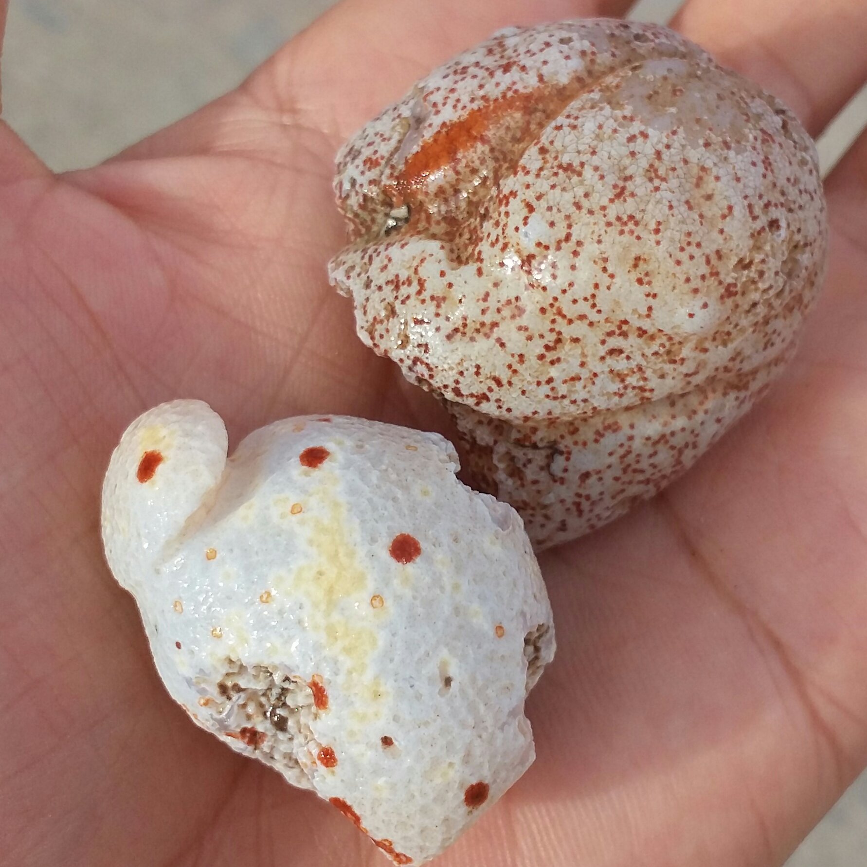 مجموعه 2 عددی سنگ راف خام عقیق طرح دار  برش نخورده 100 در صد طبیعی سرشار از خوااص شاهکار خلقت
با قابلیت ساخت چند نگین 