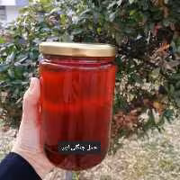 عسل  طبیعی جنگلی ( فراورده های طبیعی ایلیا ) 