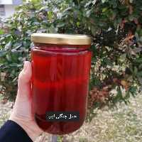 عسل  طبیعی جنگلی ( فراورده های طبیعی ایلیا ) 