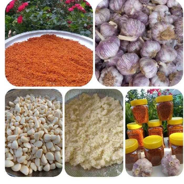 سیر داغ شمالی در وزن (100)گرم