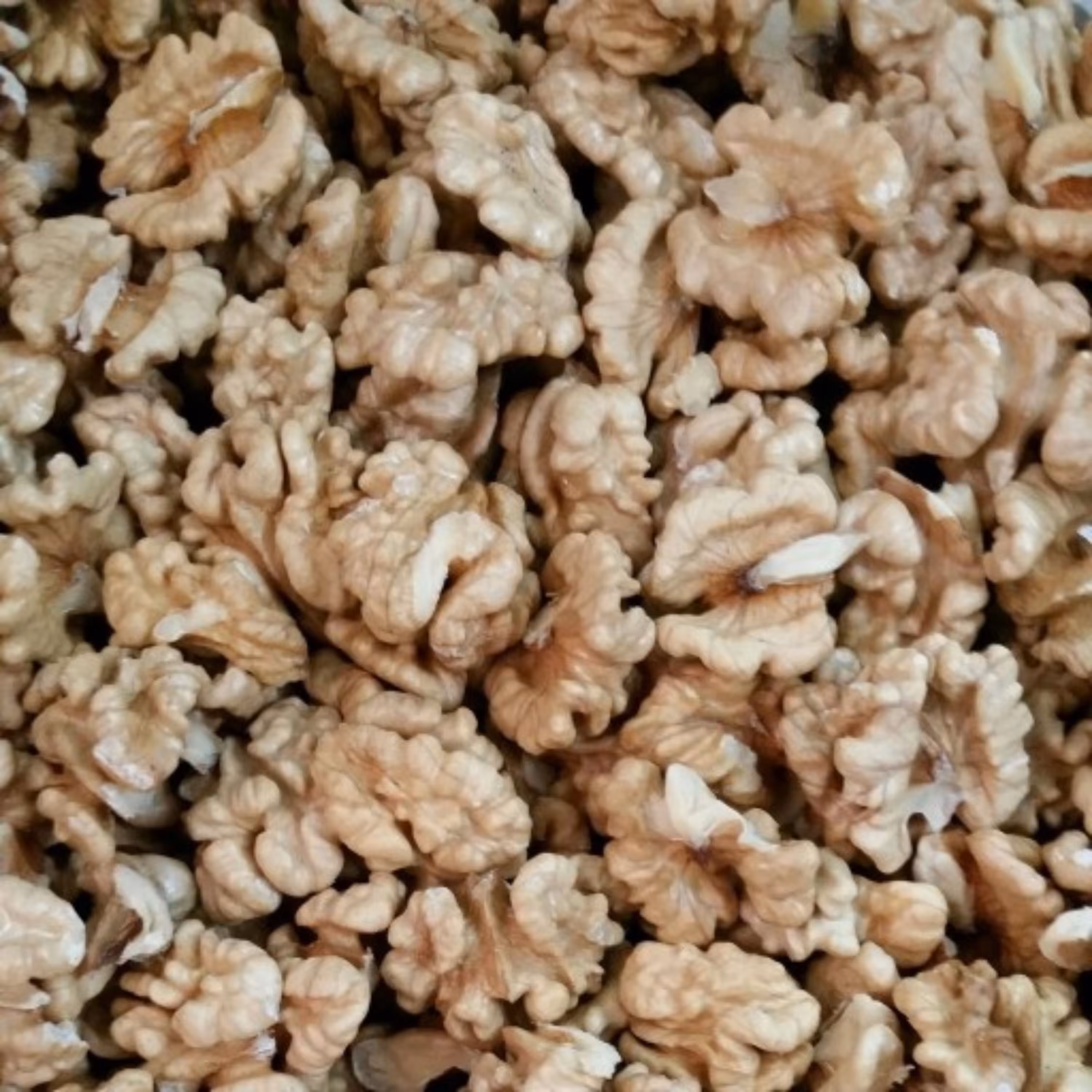 مغز گردو مجلسی اعلای شمال خراسان بسیار تازه و امسالی (900 گرمی) با ارسال رایگان