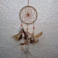 دریم کچر قطر 10 سانتی متری مخملی (ارسال رایگان)