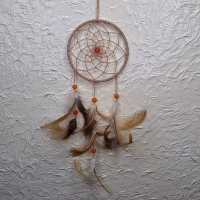 دریم کچر قطر 10 سانتی متری مخملی (ارسال رایگان)