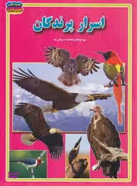 کتاب اسرار پرندگان اثر فاطمه سروش راد انتشارات حباب