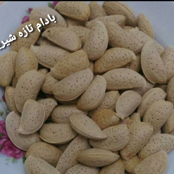 بادام شیرین تازه ملایر