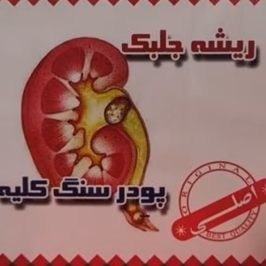 ریشه جلبگ دریایی