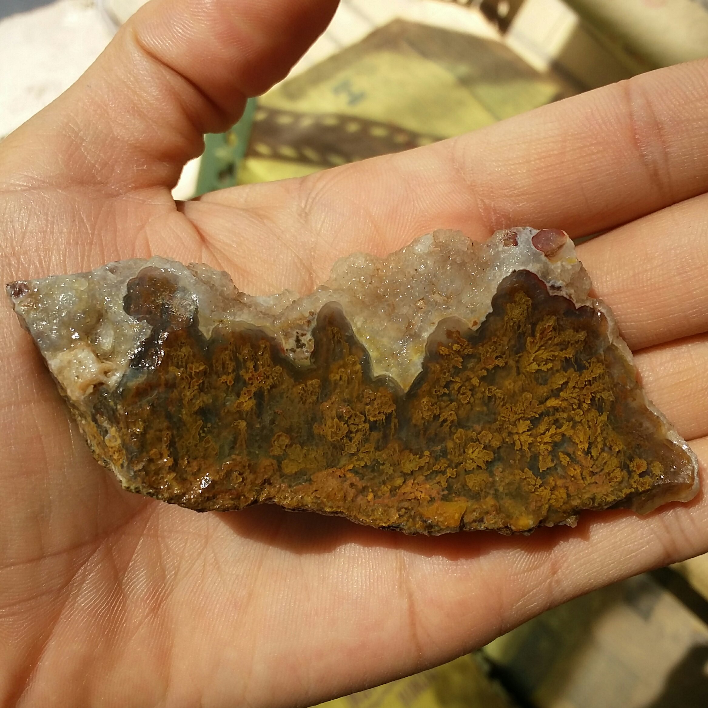 سنگ راف شجر پاییزی منظره محشر محشر محشر 100درصد طبیعی شاهکار خلقت